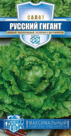 Салат кочанный Русский богатырь (гавриш) 0,5гр