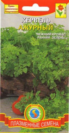 Кервель ажурный (п)