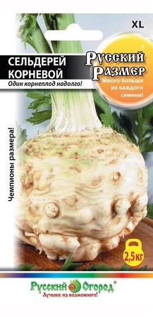 Сельдерей корневой Русский размер (нк) 100шт