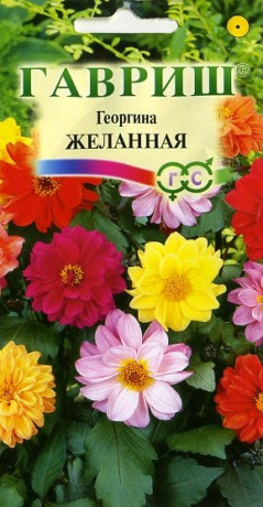 Георгина Желанная (гавриш) 0,3гр