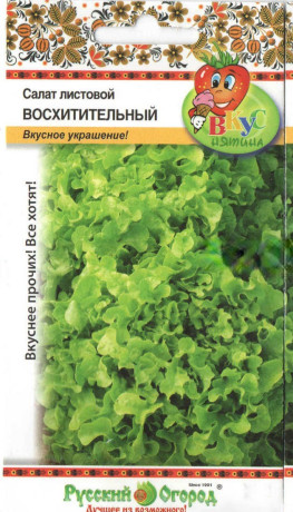 Салат Восхитительный (нк) 200шт
