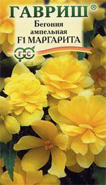 Бегония ампельная Маргарита F1