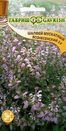 Шалфей мускатный Вознесенский 24 (гавриш) 0,3 гр