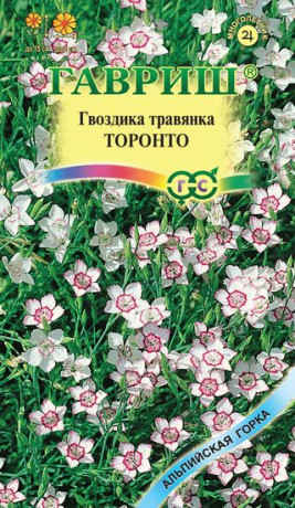 Гвоздика травянка Торонто (гавриш) 0,05гр многолетняя