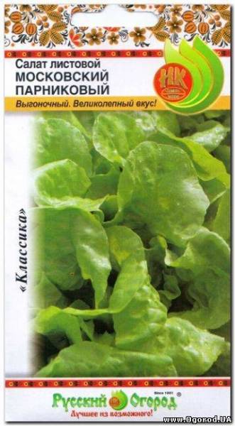 салат листовой московский парниковый (нк) 1,0гр купить в интернет-магазине,доставка по России