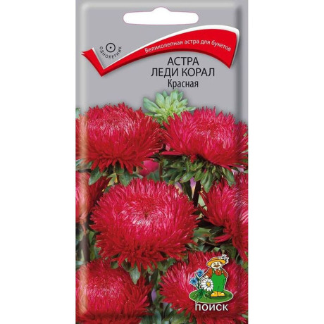 Астра Леди корал красная (поиск) 0,1гр