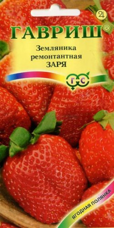 Земляника Заря (гавриш) 0,01гр