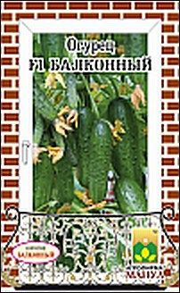 Огурец Балконный F1 (манул) 10шт