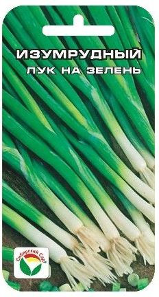 Лук на зелень Изумрудный (сс) 1,0гр