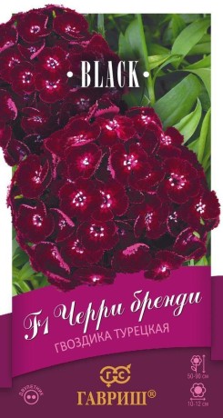 Гвоздика турецкая Черри бренди F1 (гавриш) 4 шт