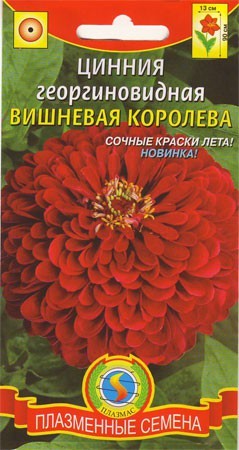 Цинния Вишневая королева (плазмас) 0,3 гр