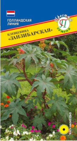 Клещевина Занзибарская (престиж) 5шт