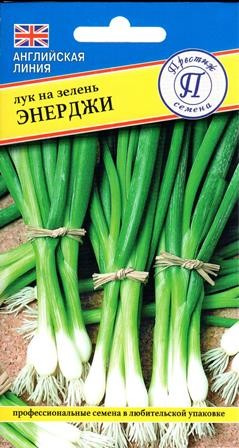 Лук на зелень Энерджи (престиж) 0,5 гр