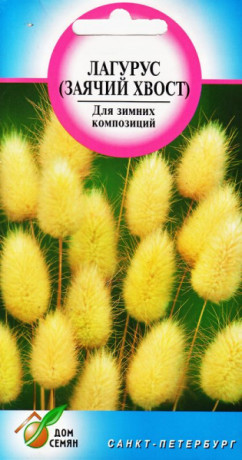 Лагурус (заячий хвост) (дс) 80шт