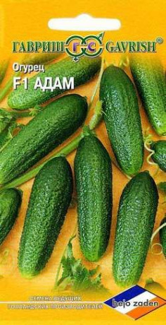 Огурец Адам F1 (гавриш) 5шт (bejo)