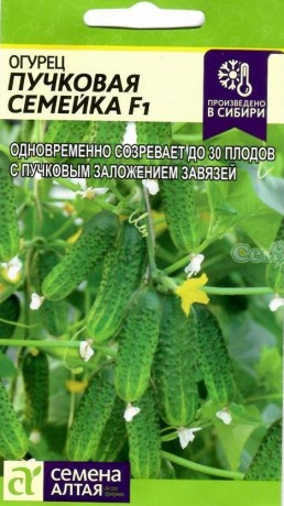 Огурец Пучковая семейка F1 (семена Алтая) 5шт