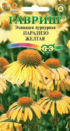 Эхинацея Пурпурная Парадизо желтая (гавриш) 5шт