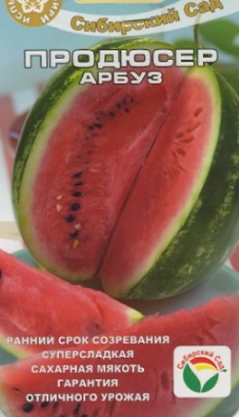 Арбуз Продюсер (сибирский сад) 4шт