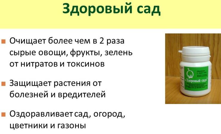 Здоровый Сад Купить В Москве