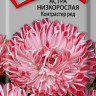 Астра низкорослая Контрастер ред (поиск) 0,1гр