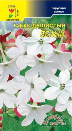 Душистый декоративный табак Белый (цветущий сад) 0,1 гр