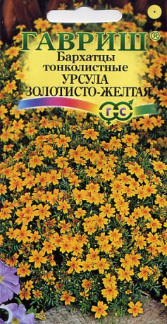 Бархатцы тонколистные Урсула (гавриш) 0,05 гр