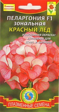 Пеларгония Красный лед F1 (плазмас) 3 шт