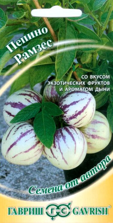 Пепино (дынная груша) Рамзес (гавриш) 5 шт
