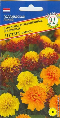 Бархатцы Петит махровая смесь (престиж) 20 шт