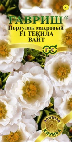 Портулак Текила вайт (гавриш) 5шт