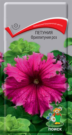 Петуния Фриллитуния роз (поиск) 10 шт