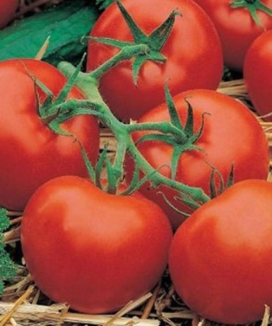 Томат Розовый Фрегат F1 (поиск) 10шт