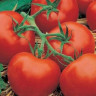 Томат Розовый Фрегат F1 (поиск) 10шт