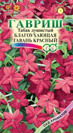 Душистый декоративный табак Благоухающая гавань красный  F1 (гавриш) 4шт