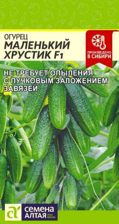 Огурец Маленький хрустик F1 (семена Алтая) 5 шт