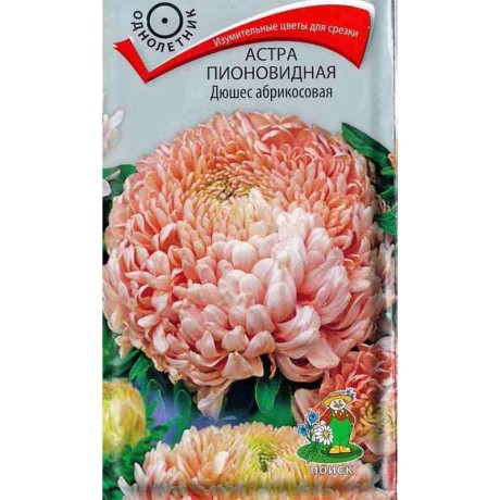 Астра пионовидная Дюшес Абрикосовая (поиск) 0,3гр