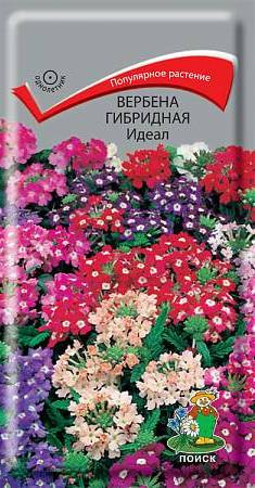 Вербена гибридная Идеал (поиск) 0,2г
