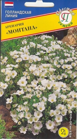 Аренария Монтана (престиж) 5шт