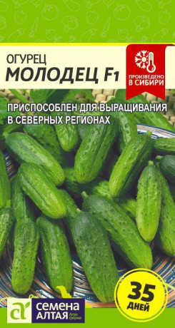 Огурец Молодец F1 (семена Алтая) 6шт