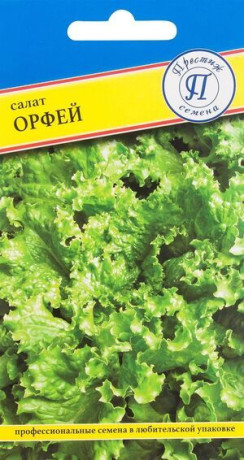 Салат листовой Орфей (престиж) 0,5 гр