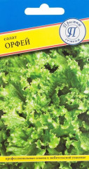 Салат листовой Орфей (престиж) 0,5 гр