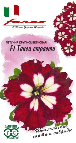 Петуния Танец страсти F1 (гавриш) 7шт