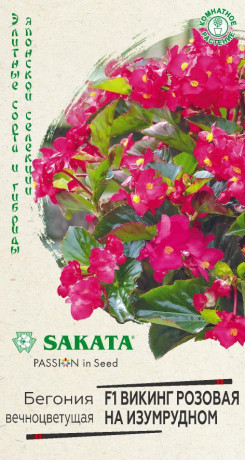 Бегония Викинг розовая на изумрудном F1 (г) 4шт