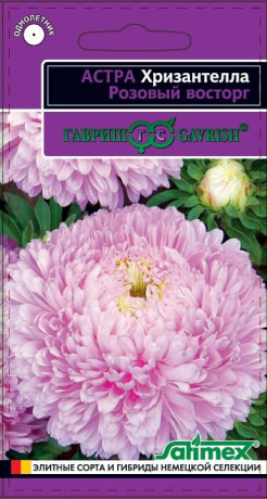 Астра Розовый восторг (Хризантелла) (г) 0,05гр