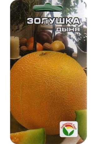 Дыня Золушка (сс) 7шт