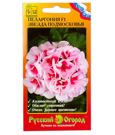 Пеларгония Звезда Подмосковья F1 (нк) 5шт