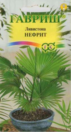 Ливистона китайская Нефрит (г) 3шт