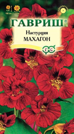 Настурция Махагон (гавриш) 1,0 гр