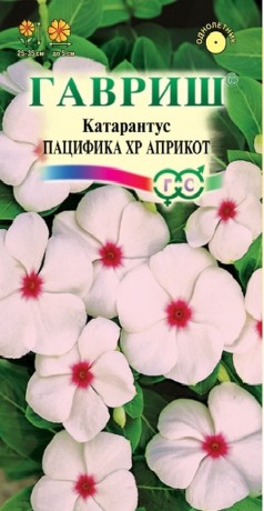 Катарантус Пацифика ХР Априкот (гавриш) 5шт