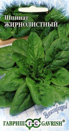 Шпинат Жирнолистный (гавриш) 1,0 гр